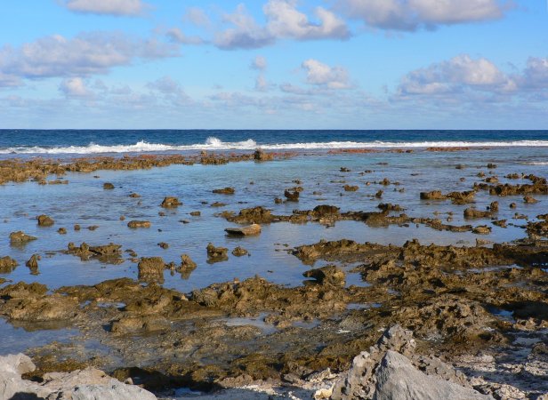 57- Le platier a maree basse 